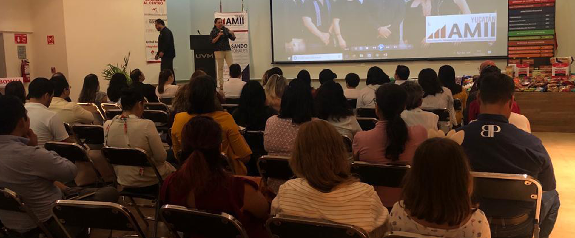 Agente Inmobiliario AMII 